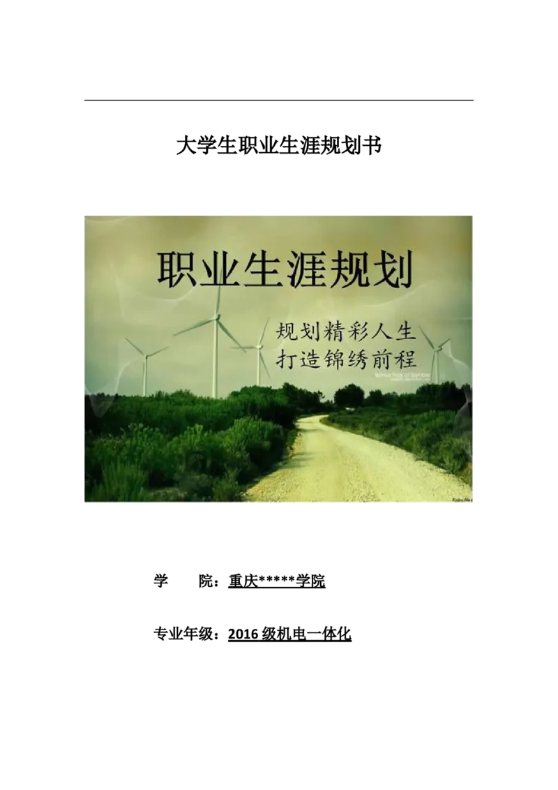 机电一体化大学生职业生涯规划书_E6-职业规划_41机电专业