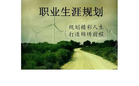 机电一体化大学生职业生涯规划书_E6-职业规划_41机电专业