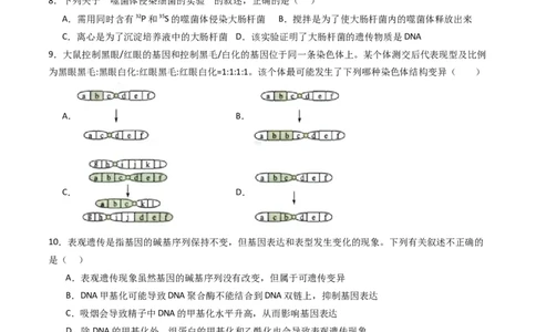 黄金卷02（新教材单科）-赢在高考&middot;黄金8卷备战2024年高考生物模拟卷（全国卷专用）（考试版）_2024高考押题卷_92024赢在高考全系列