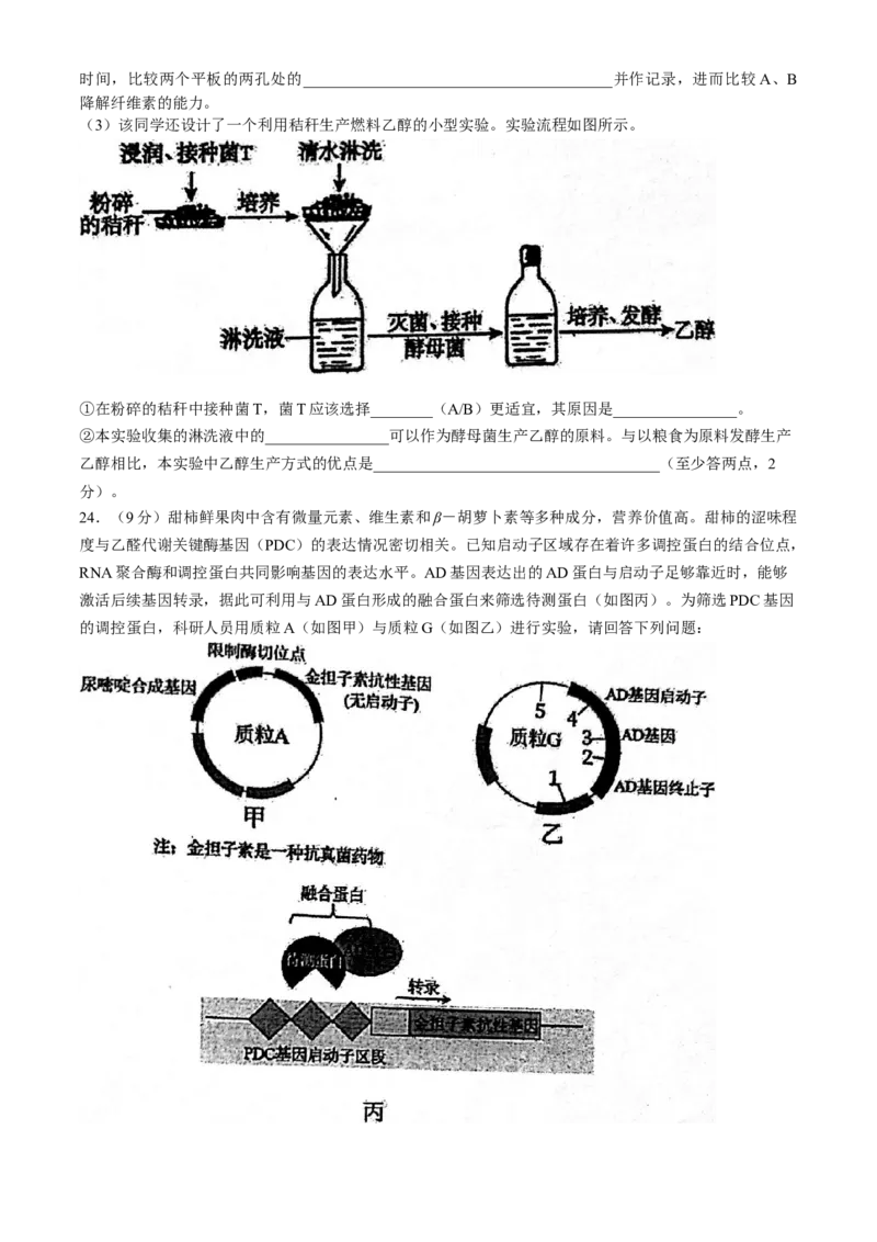 江苏省常州市第一中学2023-2024学年高二下学期6月月考生物试题(无答案)_6月_240619江苏省常州市第一中学2023-2024学年高二下学期6月月考