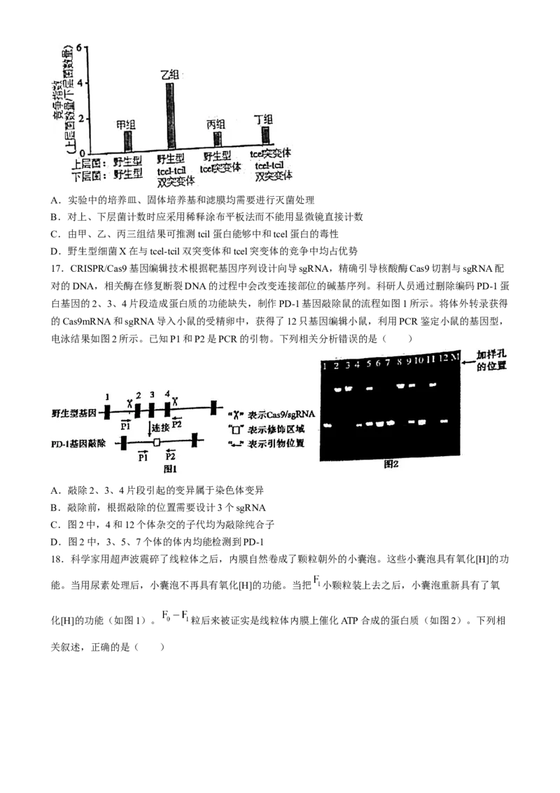 江苏省常州市第一中学2023-2024学年高二下学期6月月考生物试题(无答案)_6月_240619江苏省常州市第一中学2023-2024学年高二下学期6月月考