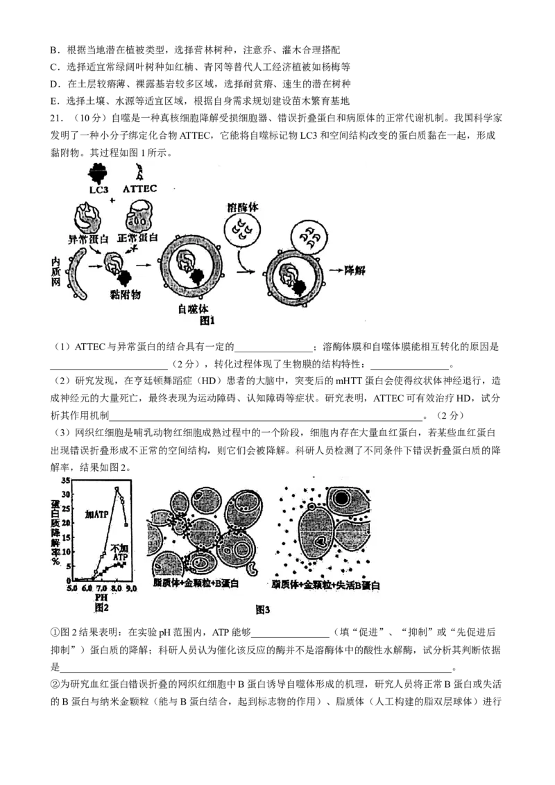 江苏省常州市第一中学2023-2024学年高二下学期6月月考生物试题(无答案)_6月_240619江苏省常州市第一中学2023-2024学年高二下学期6月月考
