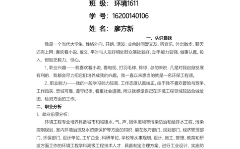 环境工程职业规划论文_E6-职业规划_66环境专业