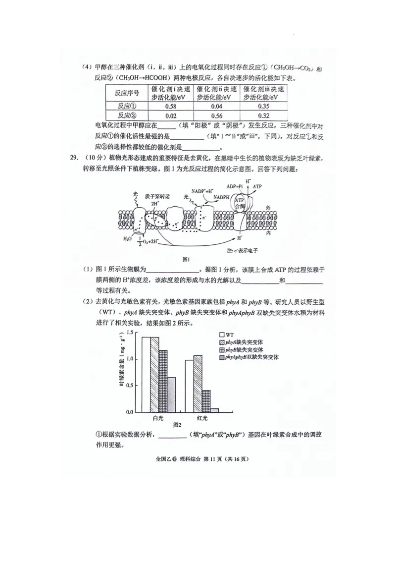 2024届高三5月大联考（全国乙卷）理综试题(1)_2024年5月_025月合集_2024届xkw高三5月大联考