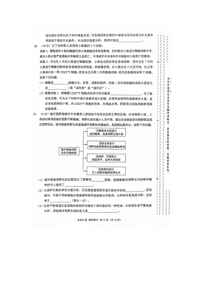 2024届高三5月大联考（全国乙卷）理综试题(1)_2024年5月_025月合集_2024届xkw高三5月大联考