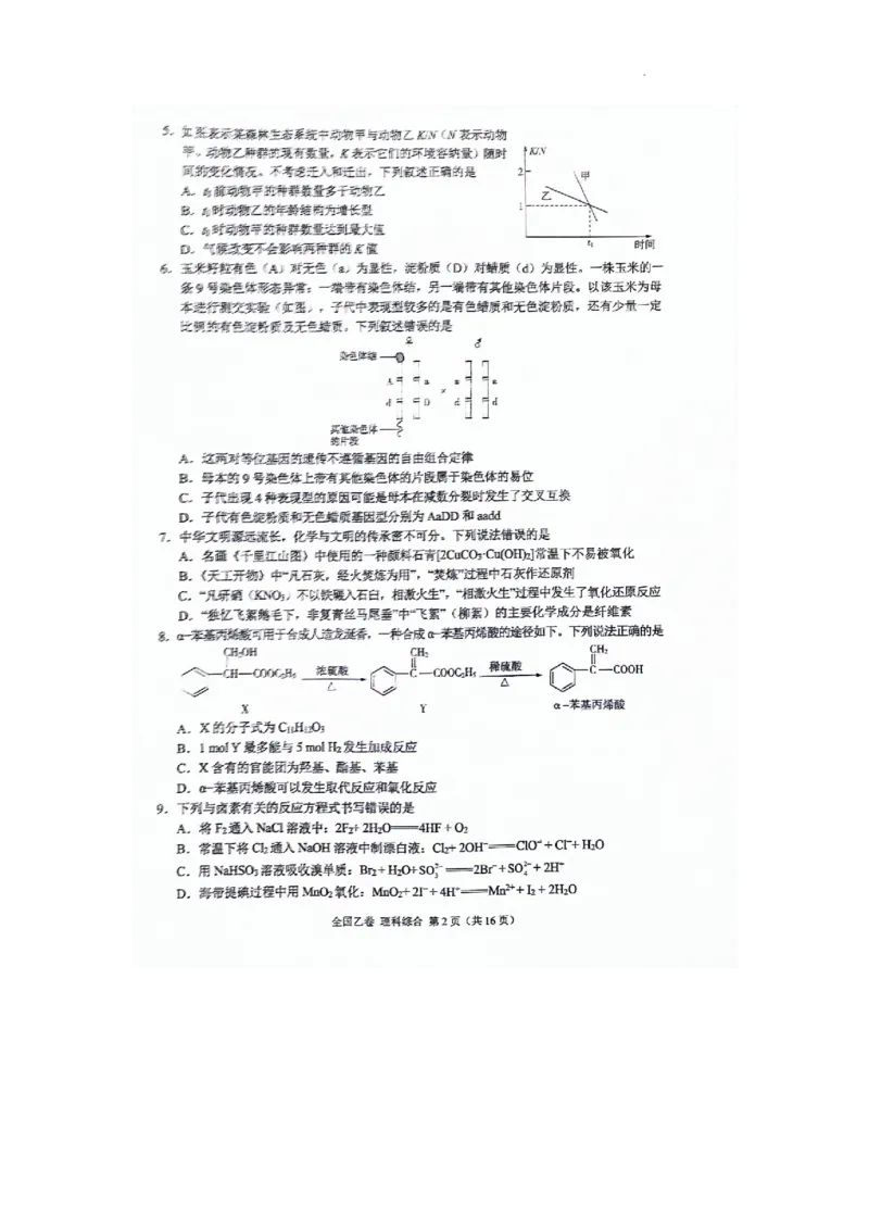 2024届高三5月大联考（全国乙卷）理综试题(1)_2024年5月_025月合集_2024届xkw高三5月大联考