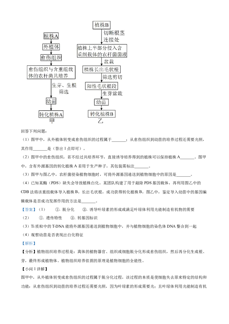 贵州省贵阳市第一中学2023-2024学年高二下学期第四次月考生物答案_6月_2406302024贵州省贵阳市第一中学高二下学期第四次月考