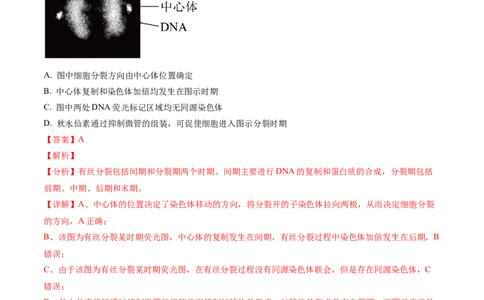 黄金卷01（解析版）-赢在高考&middot;黄金8卷备战2024年高考生物模拟卷（安徽专用）_2024高考押题卷_92024赢在高考全系列_（通用版）2024《赢在高考&middot;黄金预测卷》（九科全）各八套