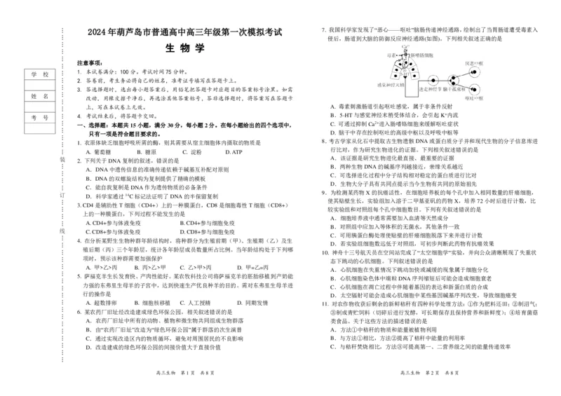 2024年辽宁省葫芦岛市普通高中高三年级下学期第一次模拟考试生物试卷_2024年3月_013月合集_2024届辽宁省葫芦岛市普通高中高三年级下学期第一次模拟考试