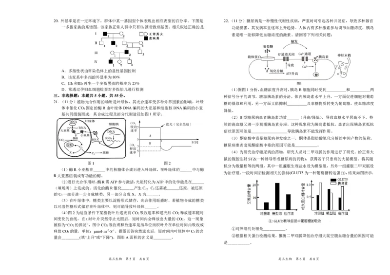 2024年辽宁省葫芦岛市普通高中高三年级下学期第一次模拟考试生物试卷_2024年3月_013月合集_2024届辽宁省葫芦岛市普通高中高三年级下学期第一次模拟考试