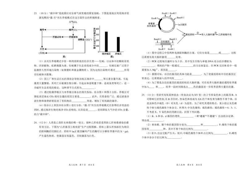 2024年辽宁省葫芦岛市普通高中高三年级下学期第一次模拟考试生物试卷_2024年3月_013月合集_2024届辽宁省葫芦岛市普通高中高三年级下学期第一次模拟考试