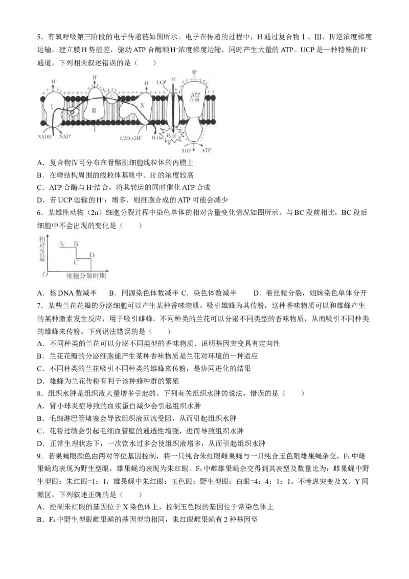 2024届高三4月金太阳全国大联考（指南针)生物试卷+答案(1)_2024年4月_024月合集_2024届高三4月金太阳全国大联考（指南针)（HJL）