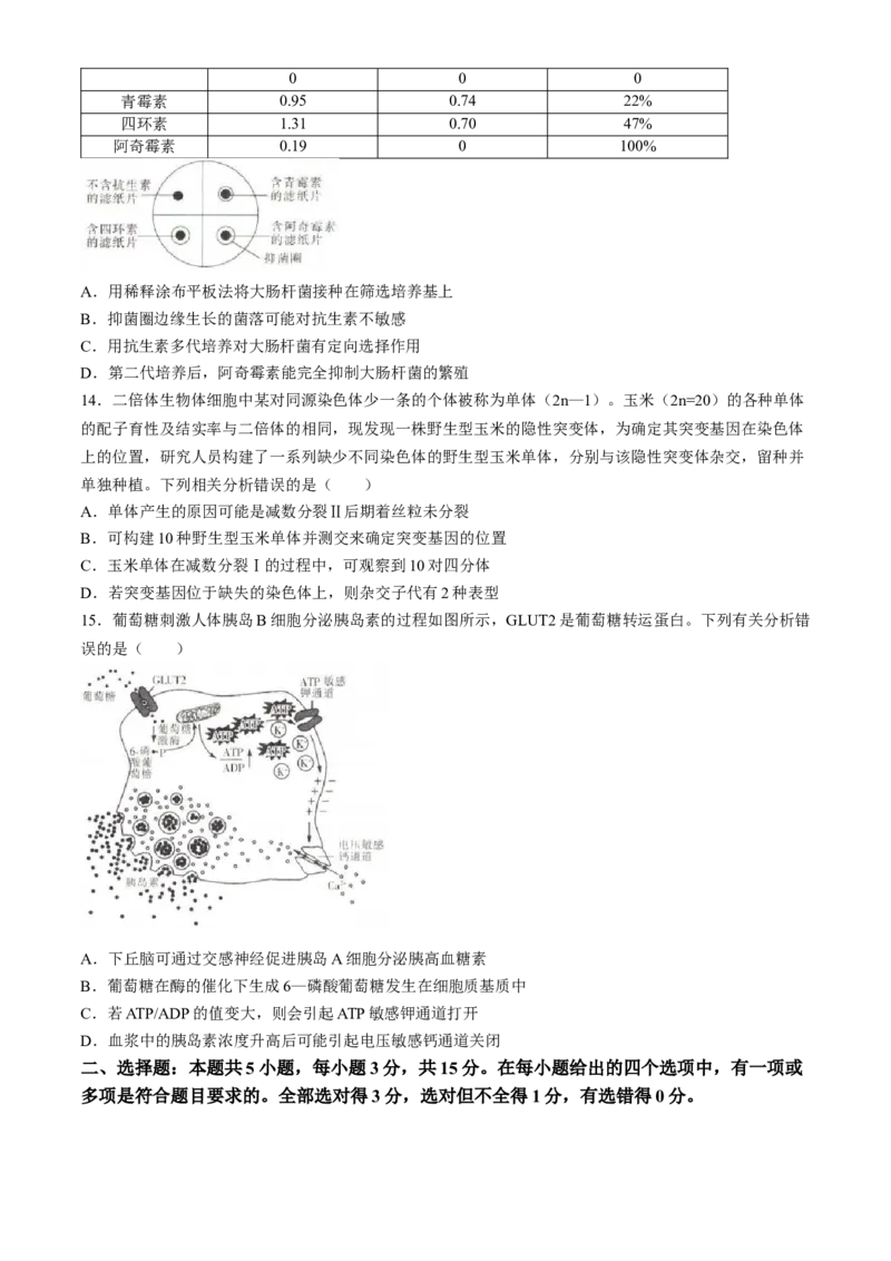 2024届高三4月金太阳全国大联考（指南针)生物试卷+答案(1)_2024年4月_024月合集_2024届高三4月金太阳全国大联考（指南针)（HJL）