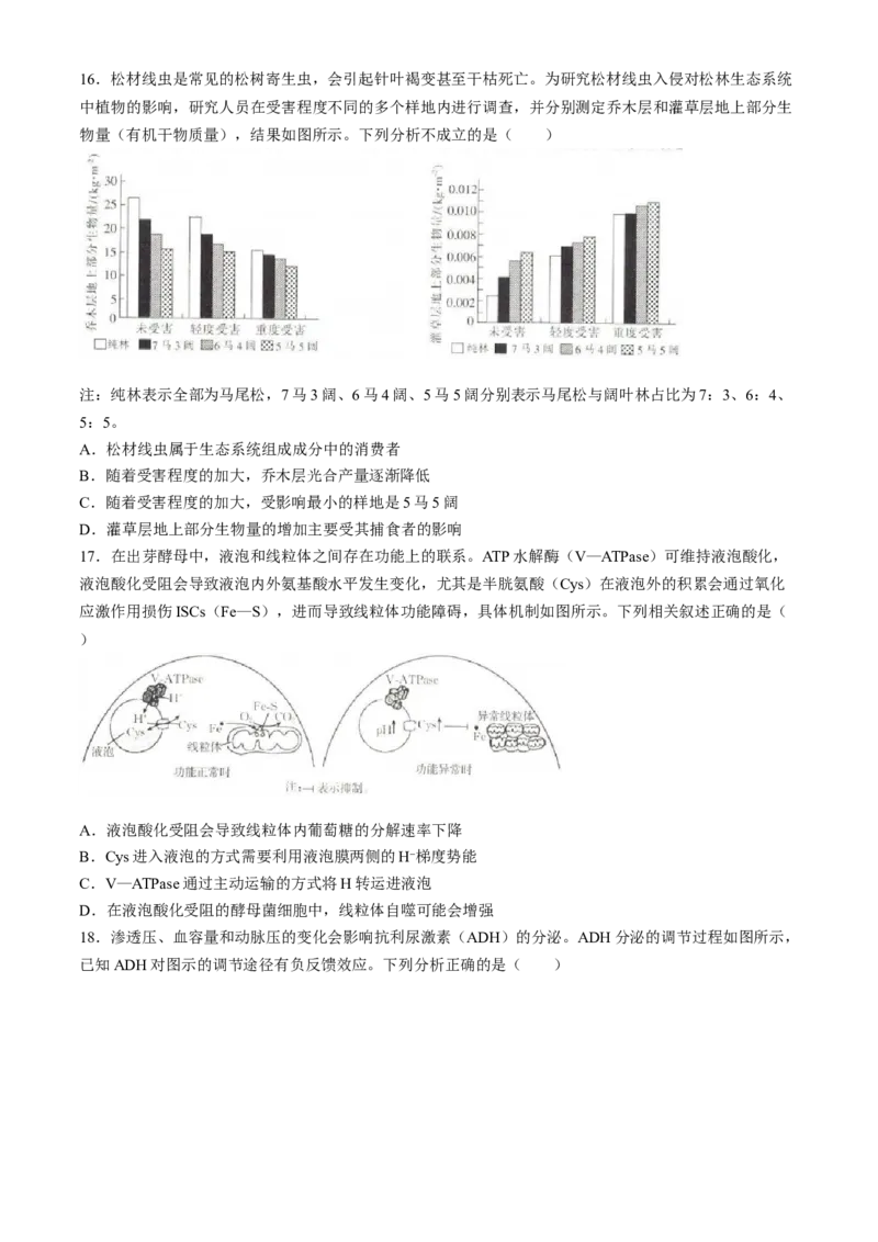 2024届高三4月金太阳全国大联考（指南针)生物试卷+答案(1)_2024年4月_024月合集_2024届高三4月金太阳全国大联考（指南针)（HJL）