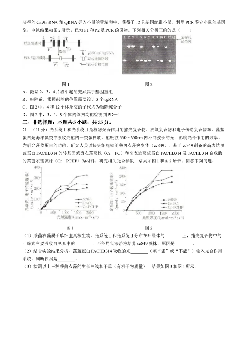 2024届高三4月金太阳全国大联考（指南针)生物试卷+答案(1)_2024年4月_024月合集_2024届高三4月金太阳全国大联考（指南针)（HJL）