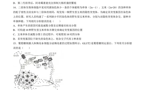 2024届高三4月金太阳全国大联考（指南针)生物试卷+答案(1)_2024年4月_024月合集_2024届高三4月金太阳全国大联考（指南针)（HJL）
