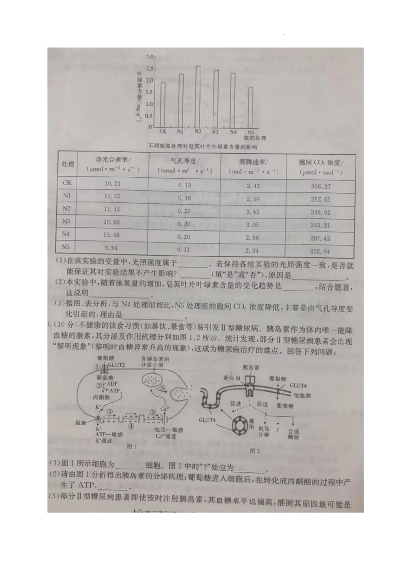 2024年四川省南充市西充县部分校高考模拟联考理科综合试题_2024年5月_01按日期_23号_2024届四川省金太阳（箭头）高三5月大联考