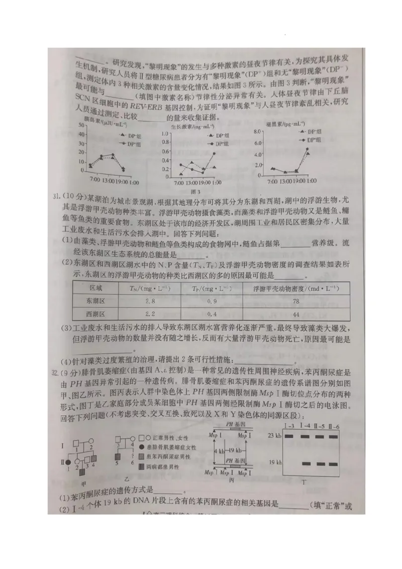 2024年四川省南充市西充县部分校高考模拟联考理科综合试题_2024年5月_01按日期_23号_2024届四川省金太阳（箭头）高三5月大联考