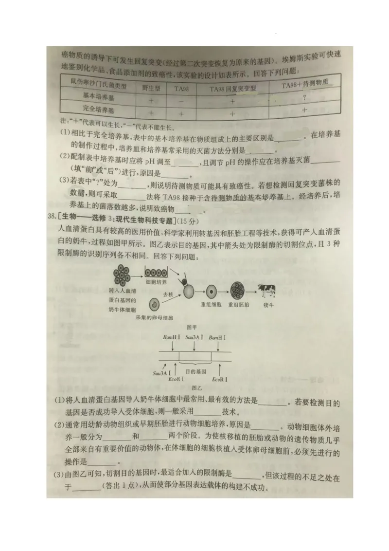 2024年四川省南充市西充县部分校高考模拟联考理科综合试题_2024年5月_01按日期_23号_2024届四川省金太阳（箭头）高三5月大联考