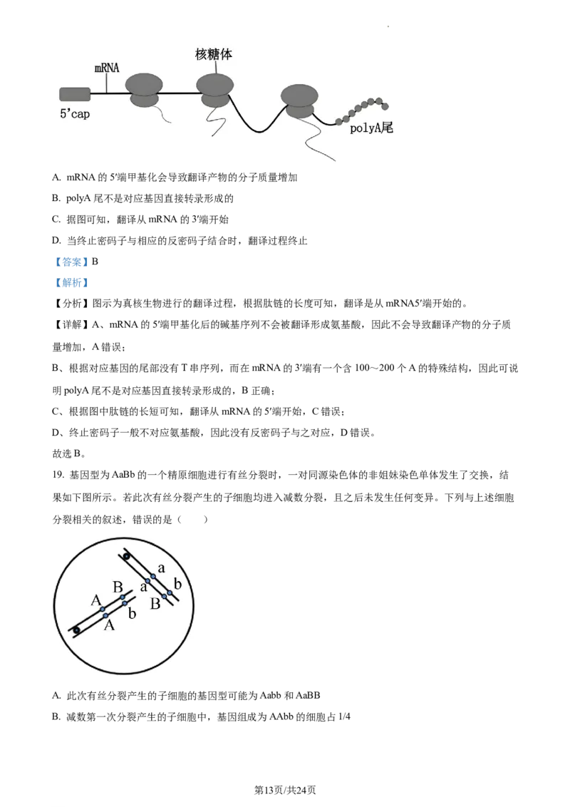 2024届浙江省绍兴市高三下学期4月适应性考试生物试卷Word版含解析_2024年4月_01按日期_14号_2024届浙江省绍兴市高三下学期4月二模