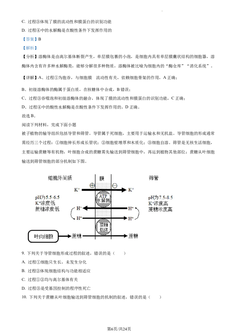 2024届浙江省绍兴市高三下学期4月适应性考试生物试卷Word版含解析_2024年4月_01按日期_14号_2024届浙江省绍兴市高三下学期4月二模