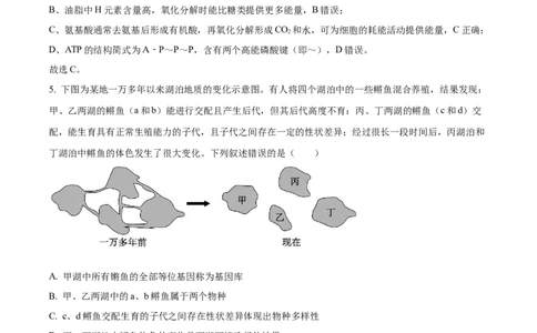 2024届浙江省绍兴市高三下学期4月适应性考试生物试卷Word版含解析_2024年4月_01按日期_14号_2024届浙江省绍兴市高三下学期4月二模