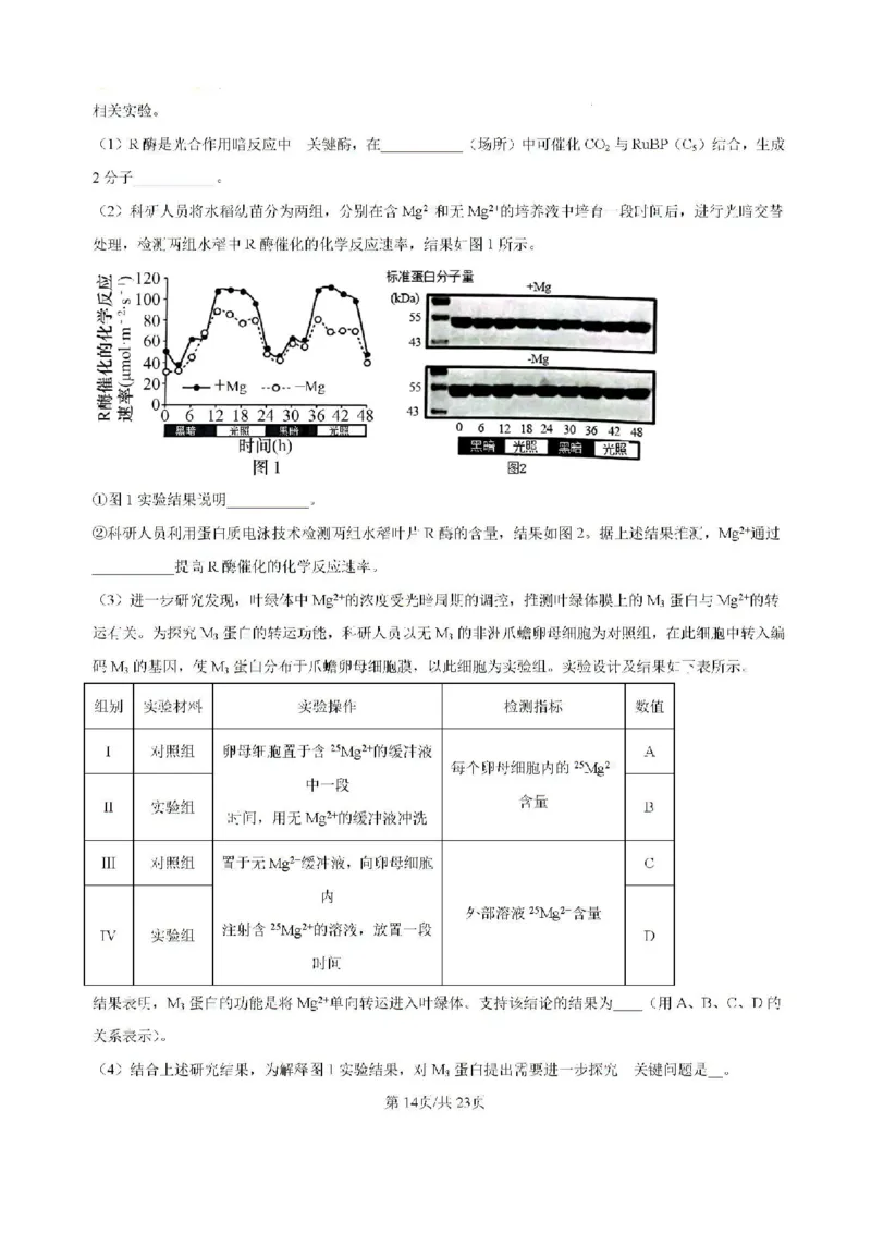 广东省六校2024&mdash;2025学年高三上学期8月联考生物试题(解析版）_8月_2408122025届广东省六校高三八月第一次联考_广东省六校2024&mdash;2025学年高三上学期8月联考生物试题