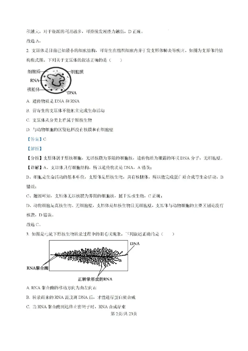 广东省六校2024&mdash;2025学年高三上学期8月联考生物试题(解析版）_8月_2408122025届广东省六校高三八月第一次联考_广东省六校2024&mdash;2025学年高三上学期8月联考生物试题