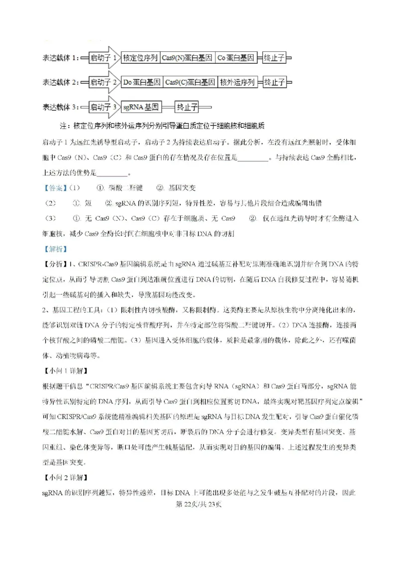 广东省六校2024&mdash;2025学年高三上学期8月联考生物试题(解析版）_8月_2408122025届广东省六校高三八月第一次联考_广东省六校2024&mdash;2025学年高三上学期8月联考生物试题