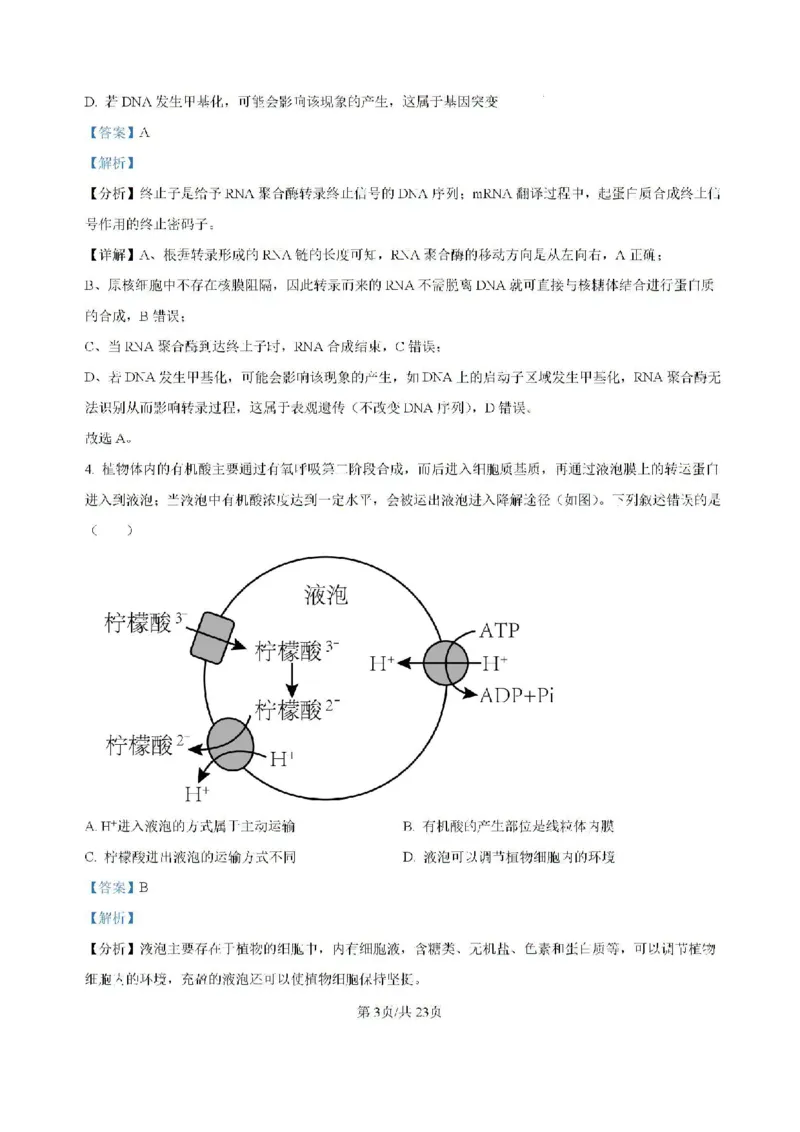 广东省六校2024&mdash;2025学年高三上学期8月联考生物试题(解析版）_8月_2408122025届广东省六校高三八月第一次联考_广东省六校2024&mdash;2025学年高三上学期8月联考生物试题