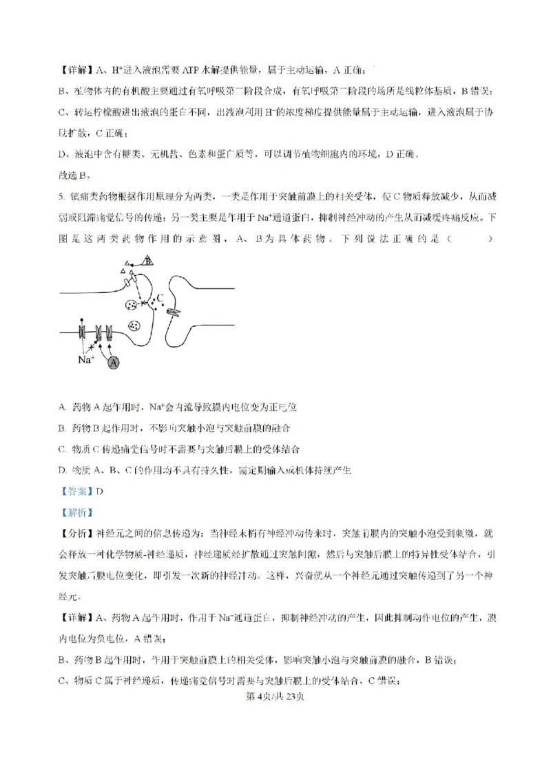 广东省六校2024&mdash;2025学年高三上学期8月联考生物试题(解析版）_8月_2408122025届广东省六校高三八月第一次联考_广东省六校2024&mdash;2025学年高三上学期8月联考生物试题