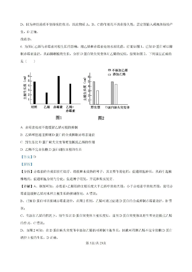广东省六校2024&mdash;2025学年高三上学期8月联考生物试题(解析版）_8月_2408122025届广东省六校高三八月第一次联考_广东省六校2024&mdash;2025学年高三上学期8月联考生物试题