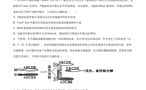 黄金卷01（考试版）-赢在高考&middot;黄金8卷备战2024年高考生物模拟卷（安徽专用）_2024高考押题卷_92024赢在高考全系列_（通用版）2024《赢在高考&middot;黄金预测卷》（九科全）各八套