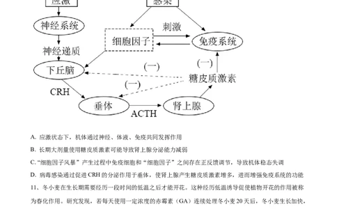 黄金卷01（考试版）-赢在高考&middot;黄金8卷备战2024年高考生物模拟卷（安徽专用）_2024高考押题卷_92024赢在高考全系列_（通用版）2024《赢在高考&middot;黄金预测卷》（九科全）各八套
