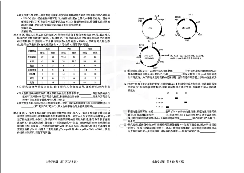 天一大联考2024-2025学年高三第一次考试生物试题（小高考）(1)_8月_240825天一小高考2024-2025学年（上）高三第一次考试