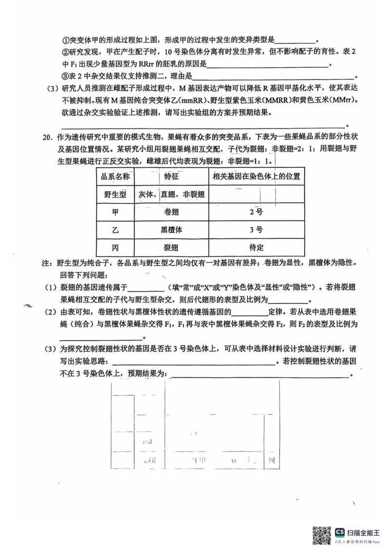 安徽省六安第一中学2024-2025学年高三上学期9月月考生物试题+答案(1)_10月_241003安徽省六安第一中学2024-2025学年高三上学期9月月考