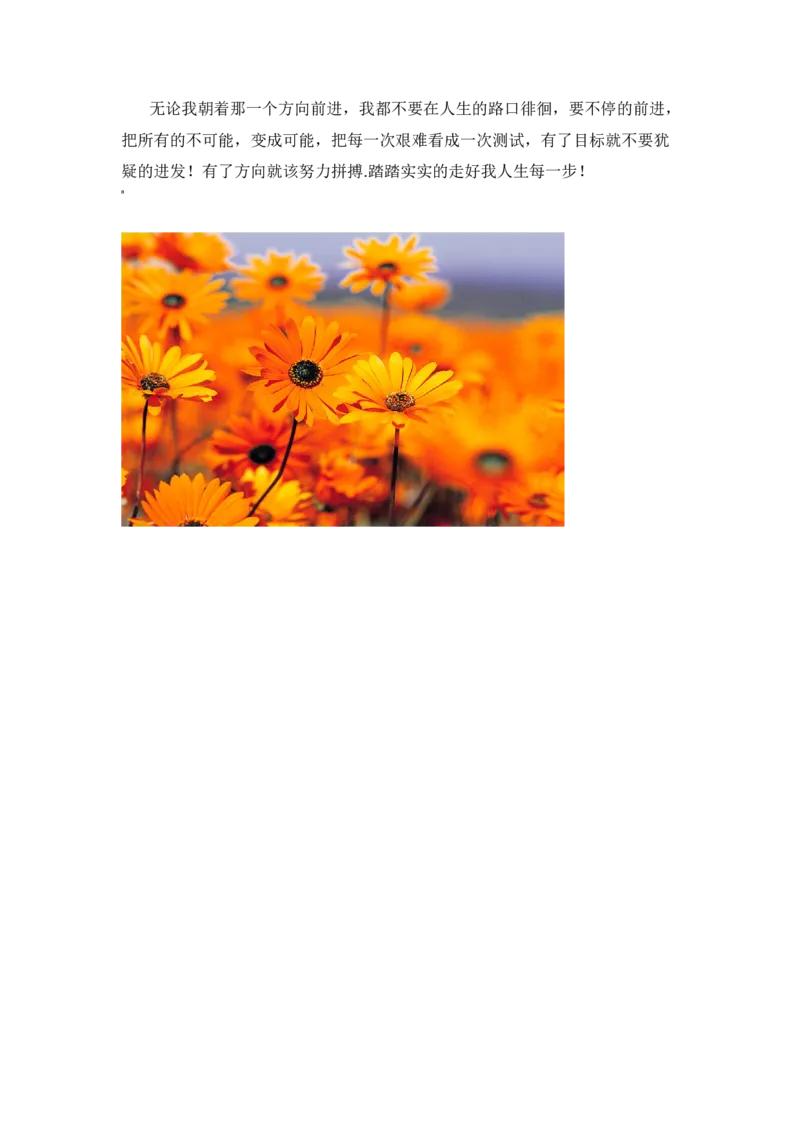 轻化工程专业职业生涯规划_E6-职业规划_94其他专业