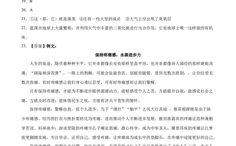 语文（新高考I卷02）（参考答案）_2024高考押题卷_62024学科网全系列_24学科网高考押题预测卷_2024年高考语文押题预测卷_语文（新高考I卷02）-2024年高考押题预测卷