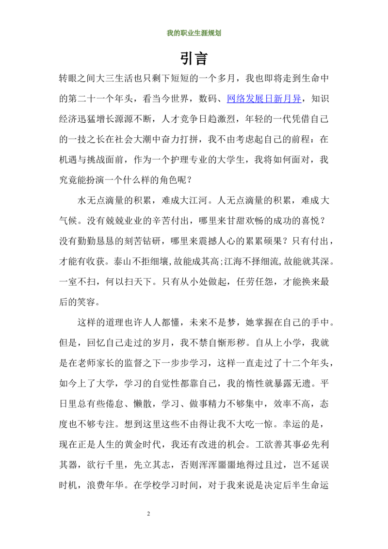 护理学院大学生职业规划_E6-职业规划_29护理专业