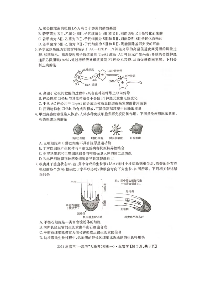 2024届湖南省&ldquo;一起考&rdquo;大联考高三下学期3月模拟考试（模拟一）生物试题_2024年4月_01按日期_3号_2024届湖南省&ldquo;一起考&rdquo;高三下学期3月模拟考试