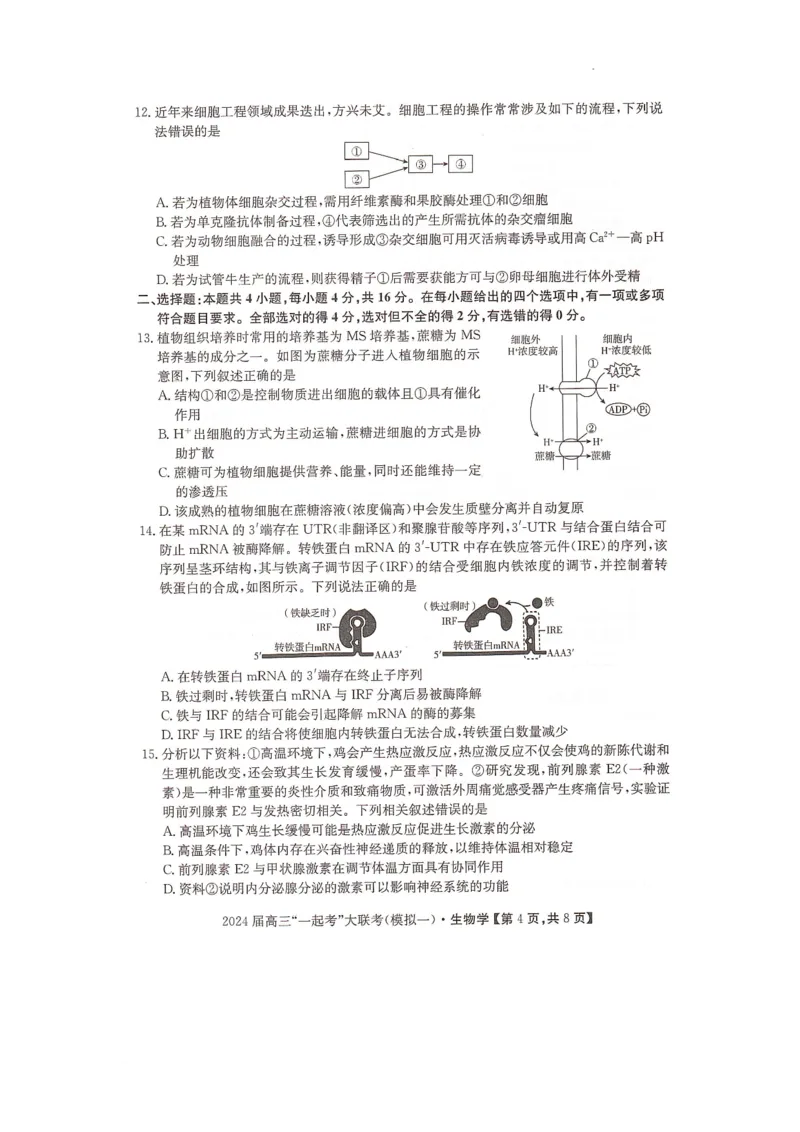 2024届湖南省&ldquo;一起考&rdquo;大联考高三下学期3月模拟考试（模拟一）生物试题_2024年4月_01按日期_3号_2024届湖南省&ldquo;一起考&rdquo;高三下学期3月模拟考试