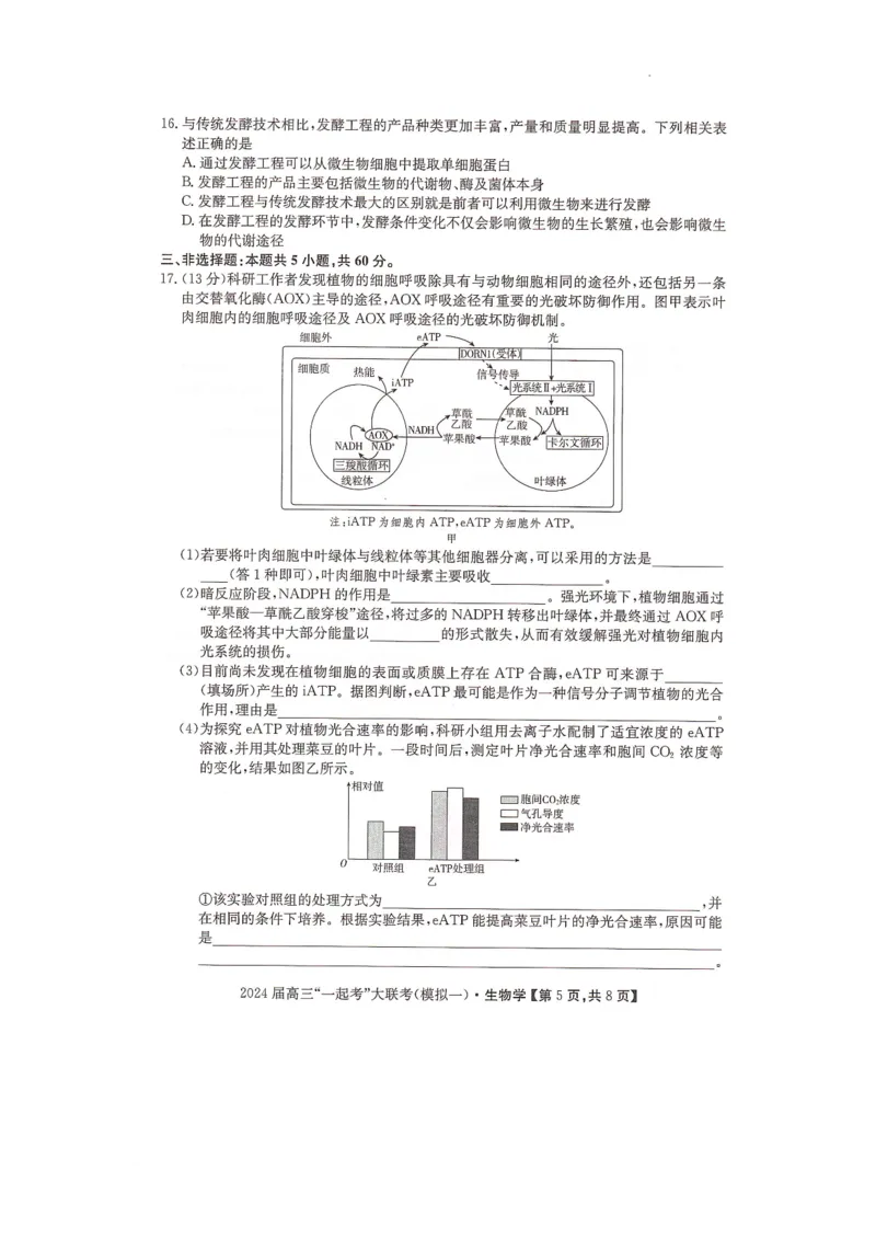 2024届湖南省&ldquo;一起考&rdquo;大联考高三下学期3月模拟考试（模拟一）生物试题_2024年4月_01按日期_3号_2024届湖南省&ldquo;一起考&rdquo;高三下学期3月模拟考试