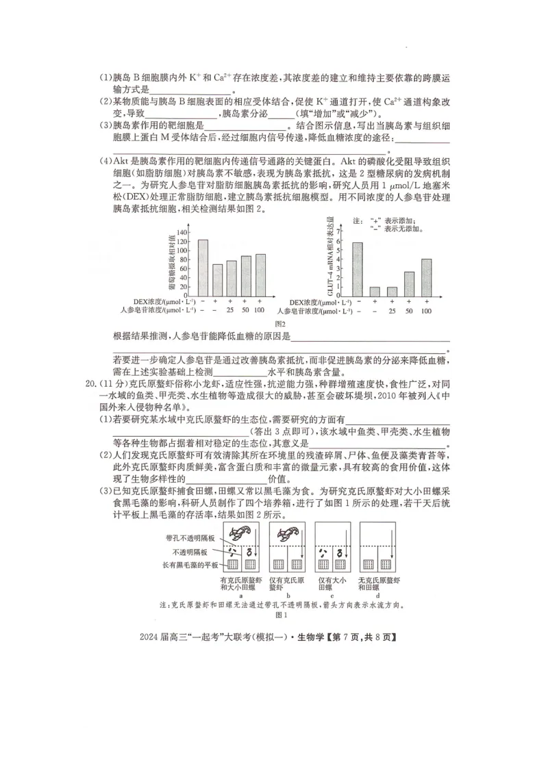 2024届湖南省&ldquo;一起考&rdquo;大联考高三下学期3月模拟考试（模拟一）生物试题_2024年4月_01按日期_3号_2024届湖南省&ldquo;一起考&rdquo;高三下学期3月模拟考试