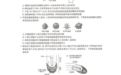 2024届湖南省&ldquo;一起考&rdquo;大联考高三下学期3月模拟考试（模拟一）生物试题_2024年4月_01按日期_3号_2024届湖南省&ldquo;一起考&rdquo;高三下学期3月模拟考试