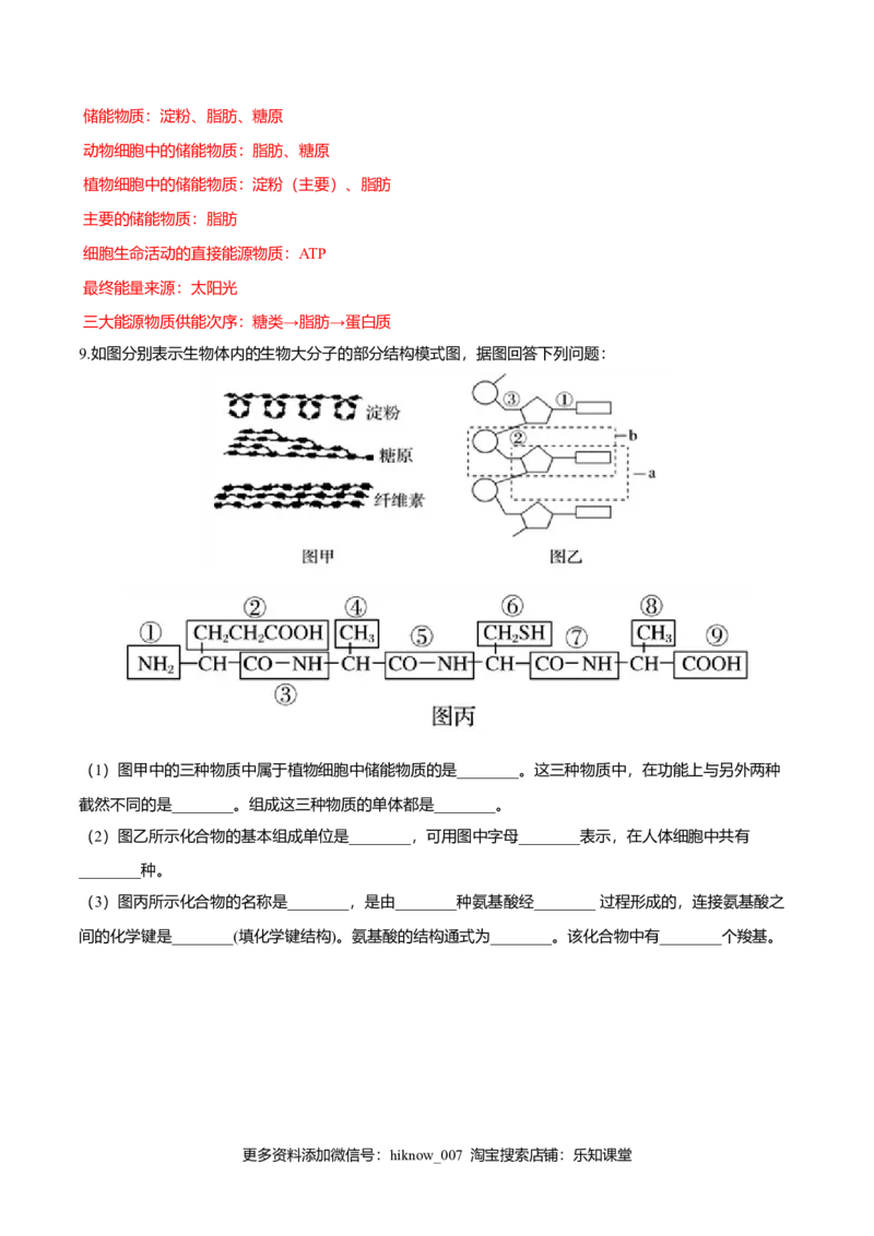 2.5核酸是遗传信息的携带者-高一生物课后培优练（人教版2019必修1）（解析版）_E015高中全科试卷_生物试题_必修1_2.同步练习_3.同步练习（第三套）