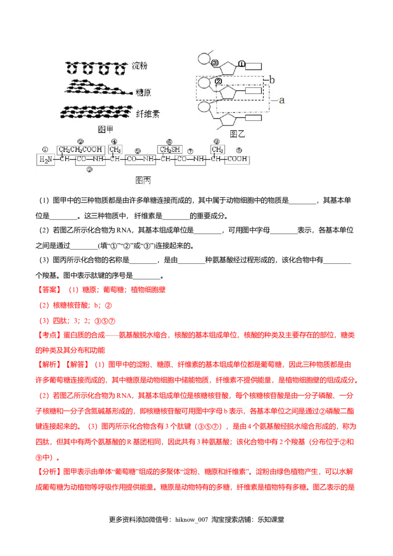 2.5核酸是遗传信息的携带者-高一生物课后培优练（人教版2019必修1）（解析版）_E015高中全科试卷_生物试题_必修1_2.同步练习_3.同步练习（第三套）