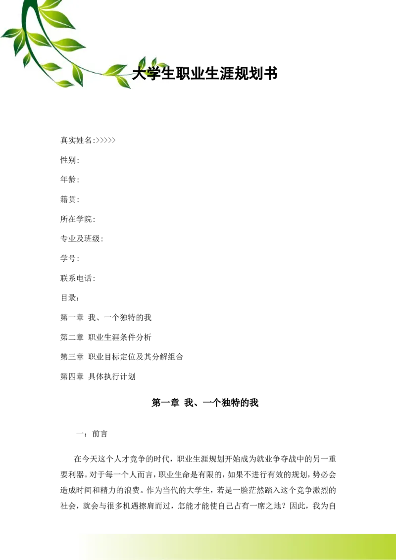 软件技术职业生涯规划_E6-职业规划_47IT、软件技术专业