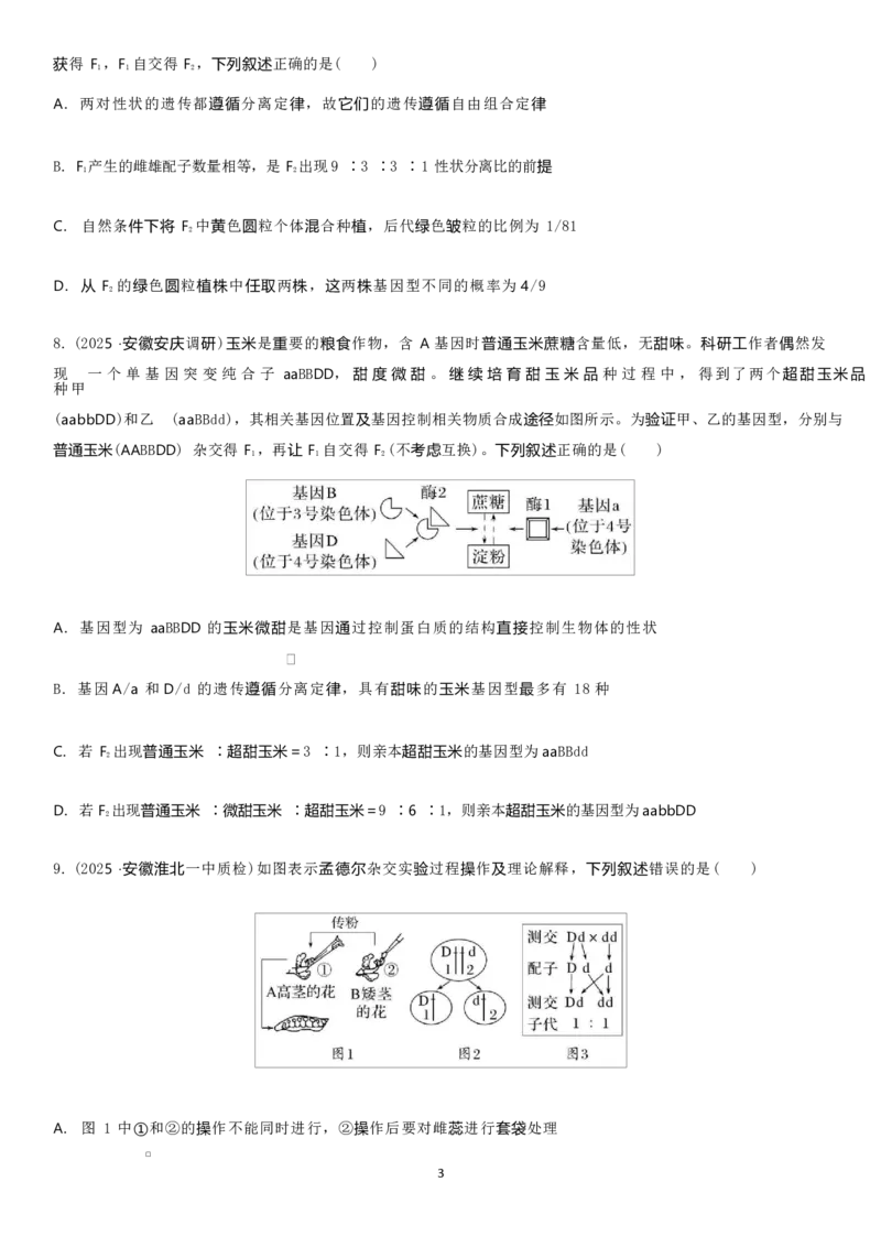 山东省临沂第一中学2026届高三上学期10月第一次阶段性质量检测+生物试题（含答案）_2025年10月_251016山东省临沂第一中学2026届高三上学期10月第一次阶段性质量检测（全科）