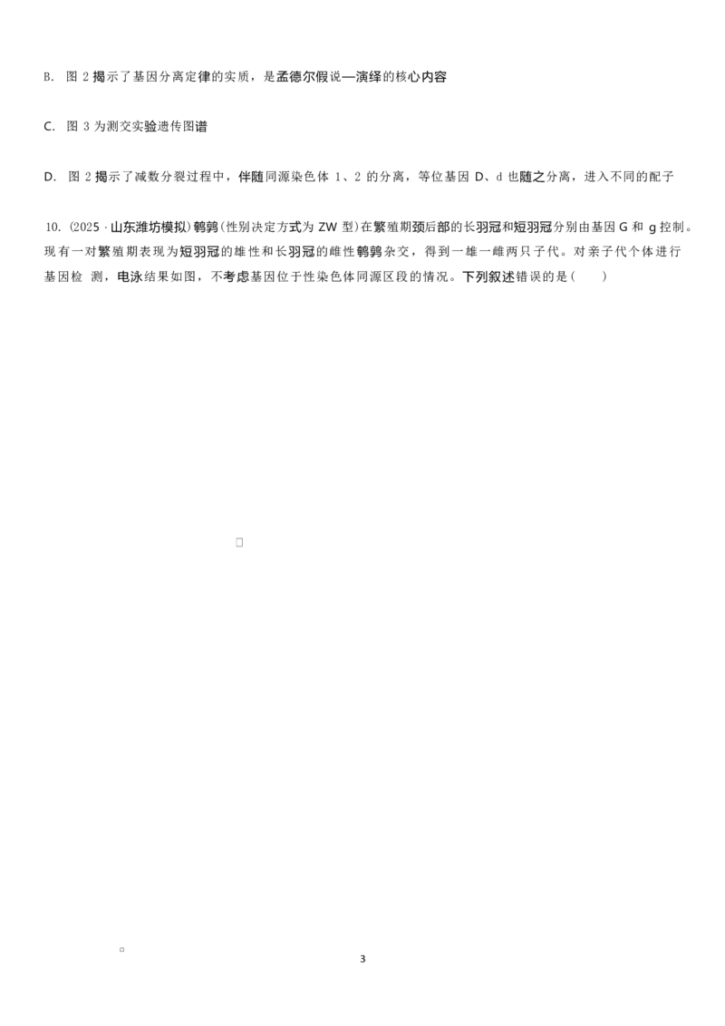 山东省临沂第一中学2026届高三上学期10月第一次阶段性质量检测+生物试题（含答案）_2025年10月_251016山东省临沂第一中学2026届高三上学期10月第一次阶段性质量检测（全科）