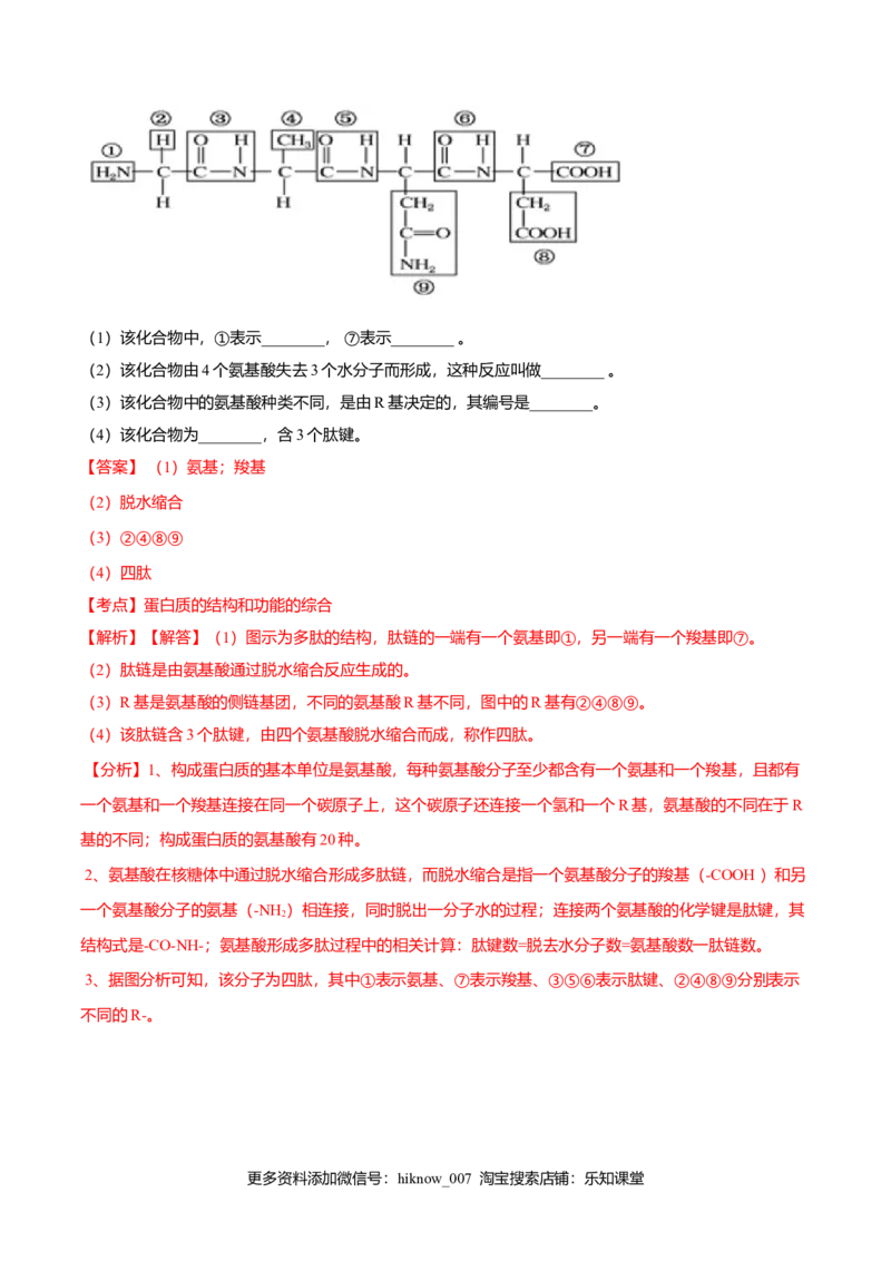 2.4蛋白质是生命活动的主要承担者-高一生物课后培优练（人教版2019必修1）（解析版）_E015高中全科试卷_生物试题_必修1_2.同步练习_3.同步练习（第三套）